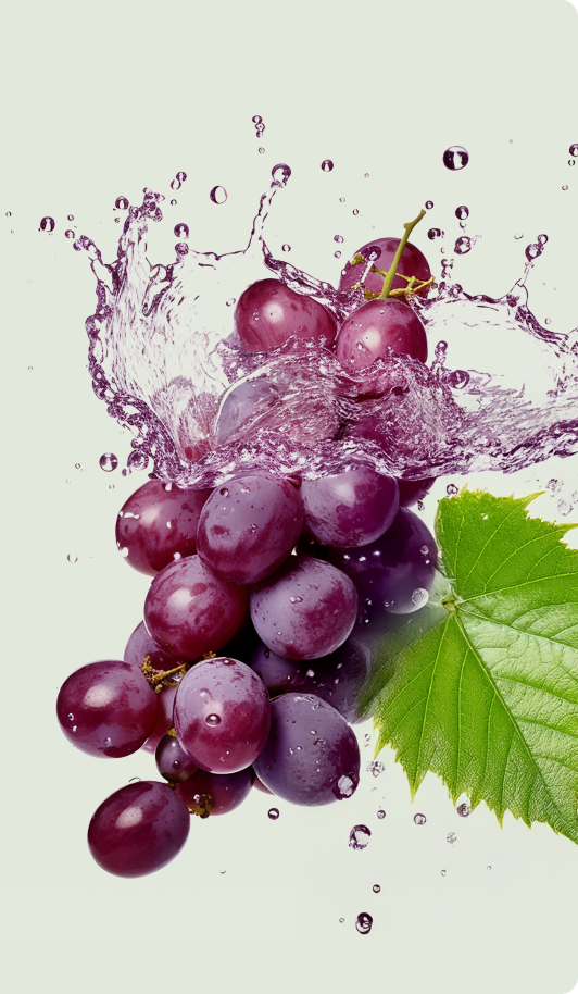 Gesunder Herz-Kreislauf