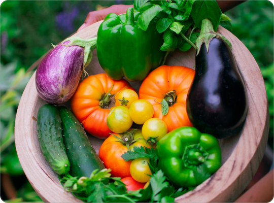 wichtige Gemüsesorten